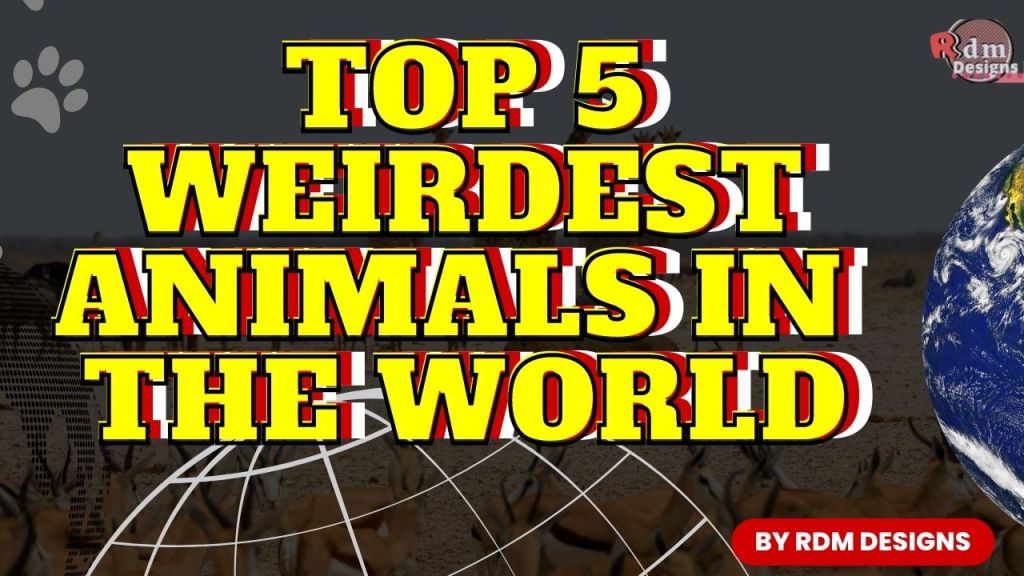 Top 5 Weirdest Animals in the World | Strangest Animals in the World